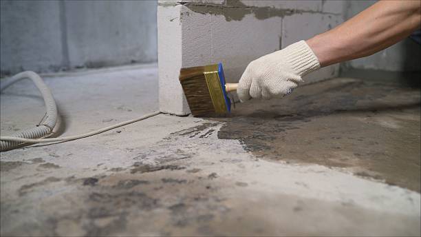 Top rated local Wet Basement Repair specialists in New Market, VA